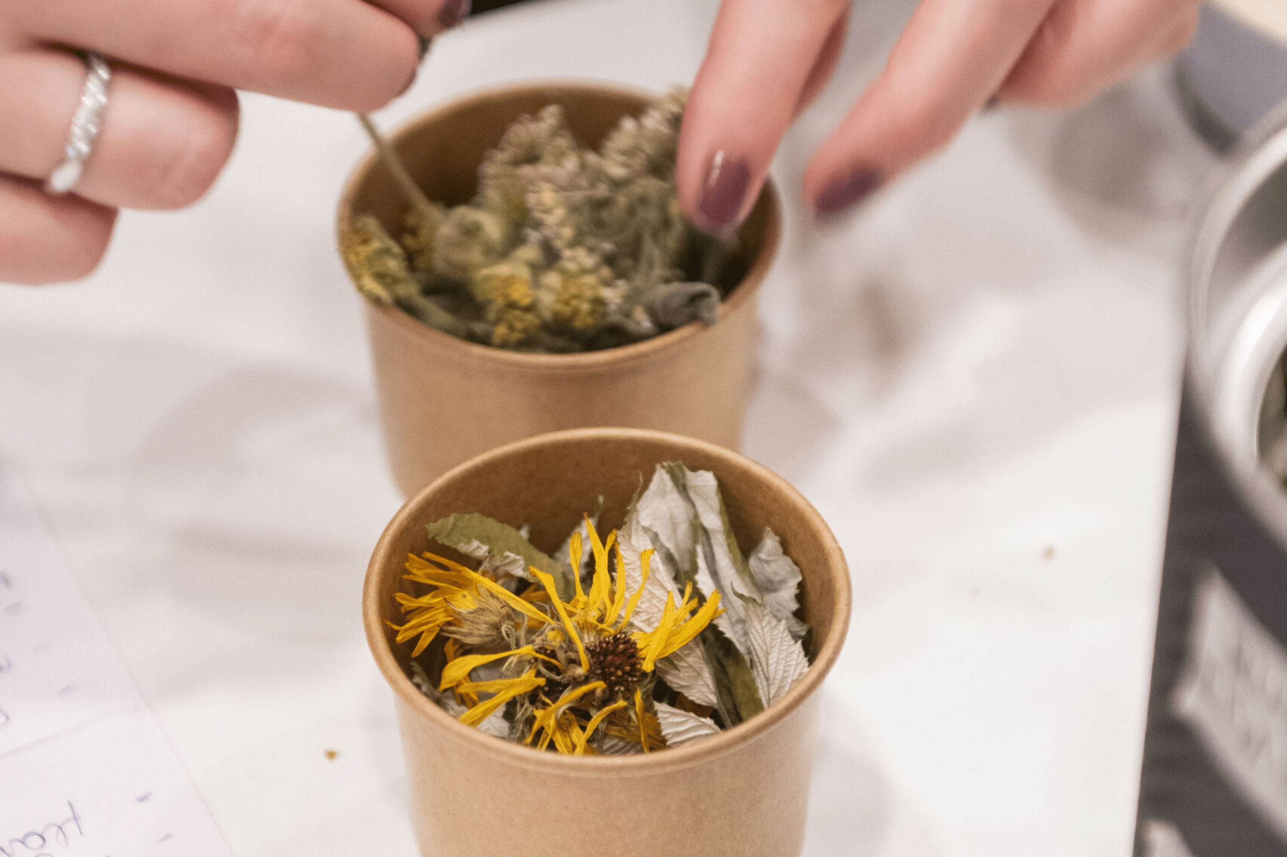 Préparation lors d'un atelier bien-être détax animé par Delphine Koniarski, porteuse du projet Delphinitea à Waterloo | Delphinitea